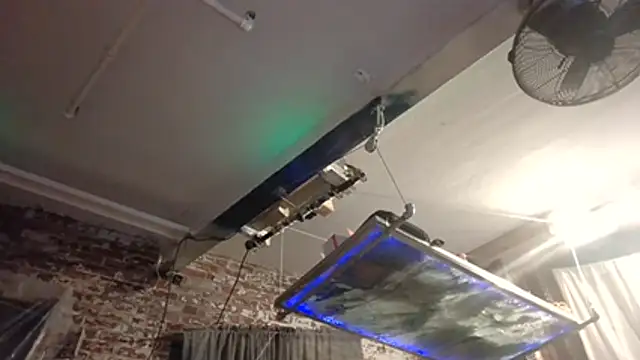 ctguybj webcam