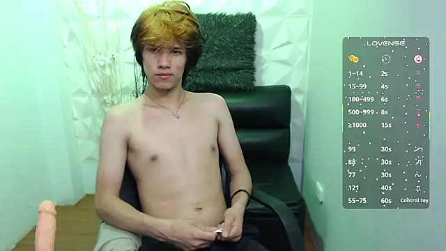 Stich_23 webcam