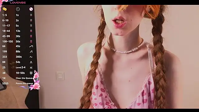 stelamontis webcam