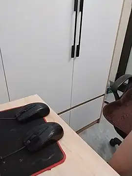 Chonami webcam