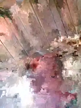 Elfledaa webcam