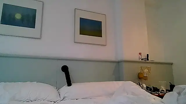 TommyandTomara webcam