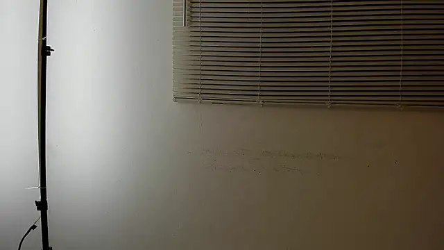 TomiVex webcam