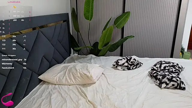 Kuro_Ren webcam