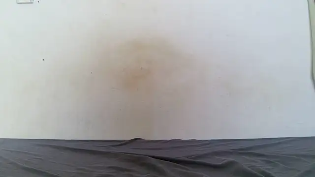 Ashley-ft webcam