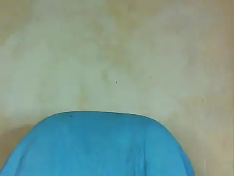BooBusty901 webcam
