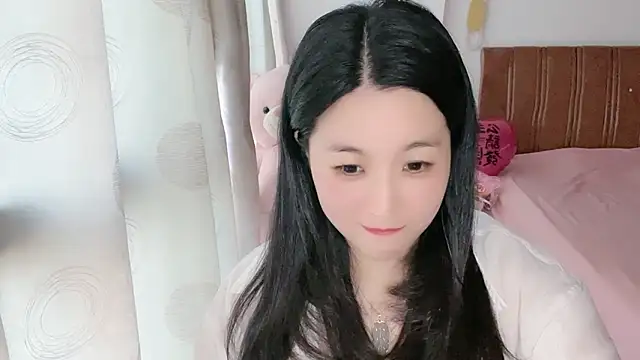 D-Misslu webcam