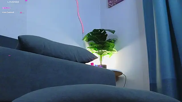 soft_chaos webcam