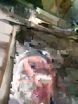 Elfledaa webcam