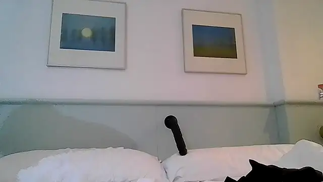 TommyandTomara webcam
