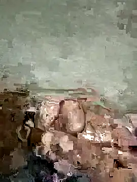 anv211 webcam