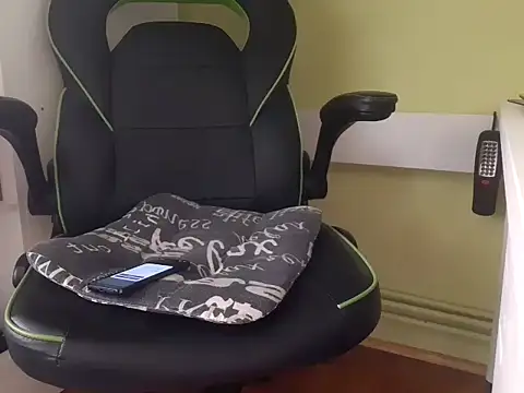 feathersify webcam