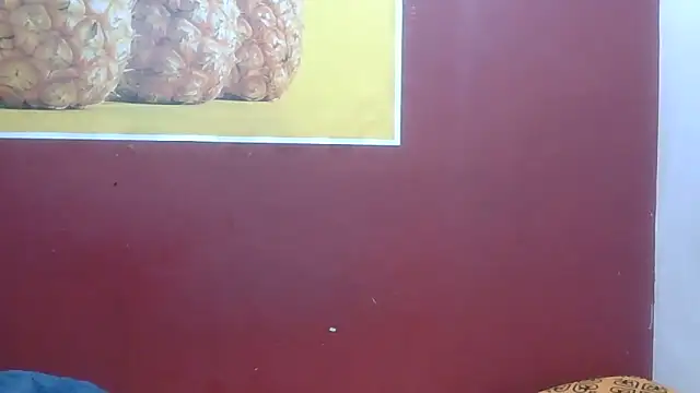 perfect-couple25 webcam