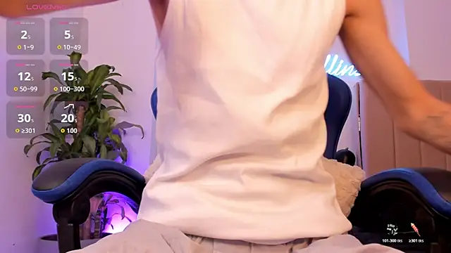 LennerCollins_ webcam