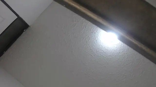 mistzi webcam