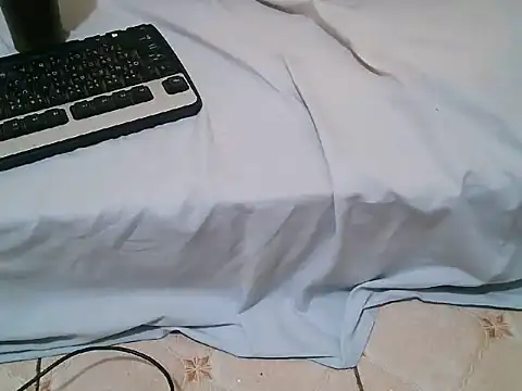 damex-333 webcam