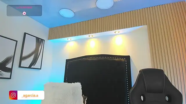 LiamWildx20 webcam