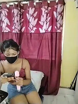 Pg_naina webcam