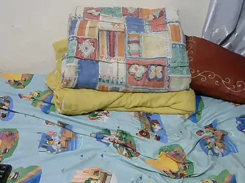 playfullnova webcam