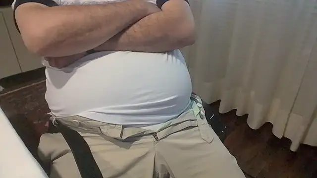 polloiw webcam