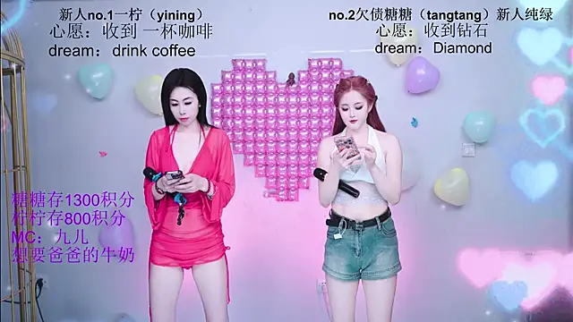 CCTW-100 webcam