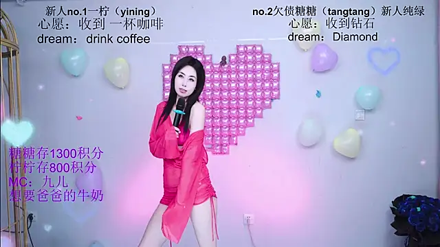 CCTW-100 webcam