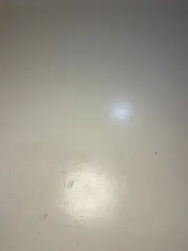 Reecekay webcam