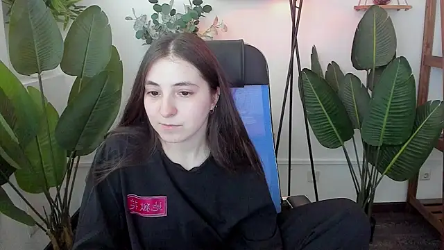 VirtuallVoyant webcam