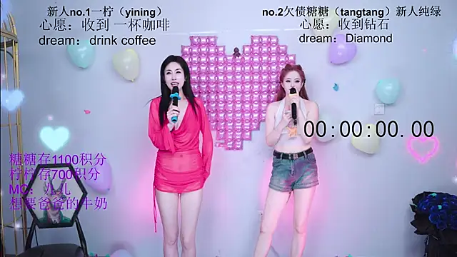 CCTW-100 webcam