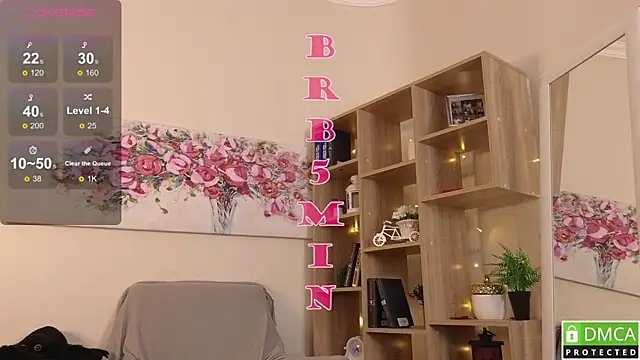 Sue_Sanders webcam