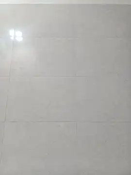 VJ17 webcam