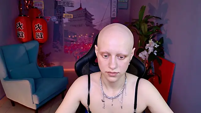 LidaDarknet webcam