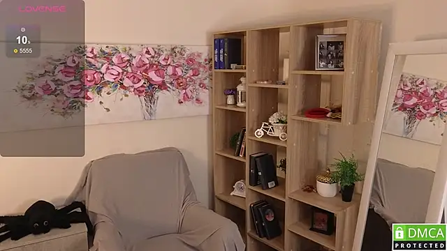 Sue_Sanders webcam