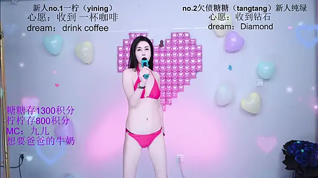 CCTW-100 webcam