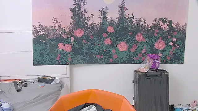 paofu-001 webcam
