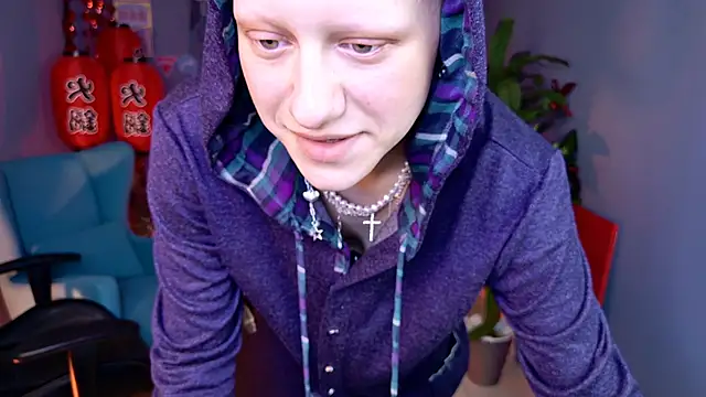 LidaDarknet webcam