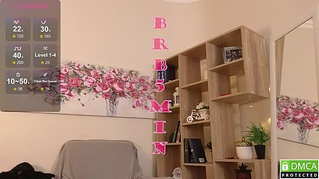 Sue_Sanders webcam