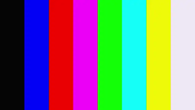 EllenReeves webcam