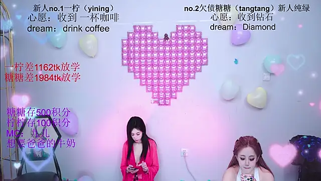 CCTW-100 webcam