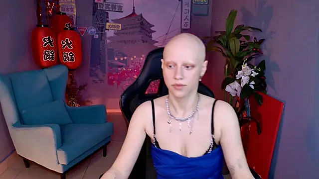LidaDarknet webcam