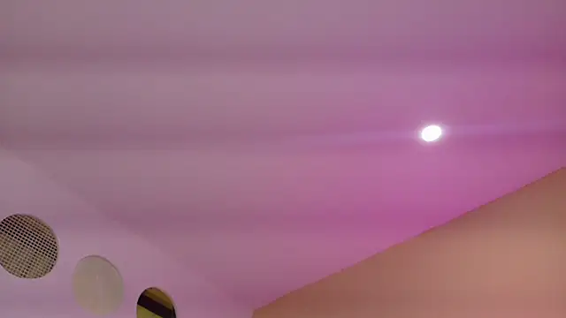 Nascary_Fox webcam
