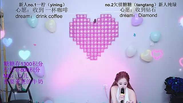 CCTW-100 webcam