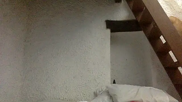 Velvetshadow_48 webcam