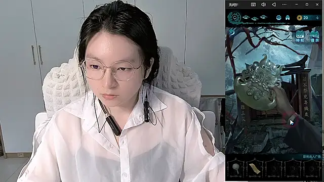Erya-369 webcam