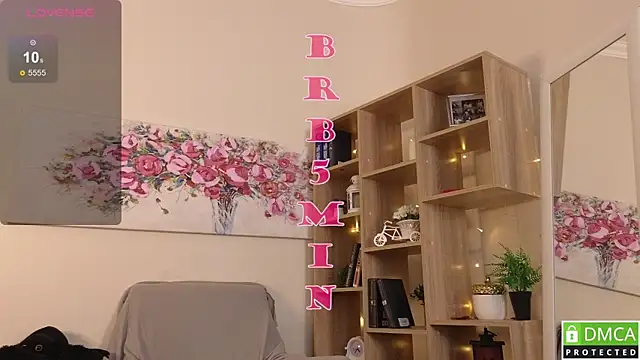Sue_Sanders webcam