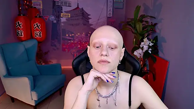 LidaDarknet webcam