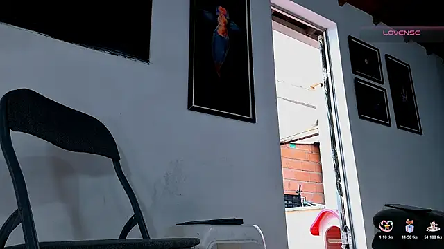 SilvaBranko webcam
