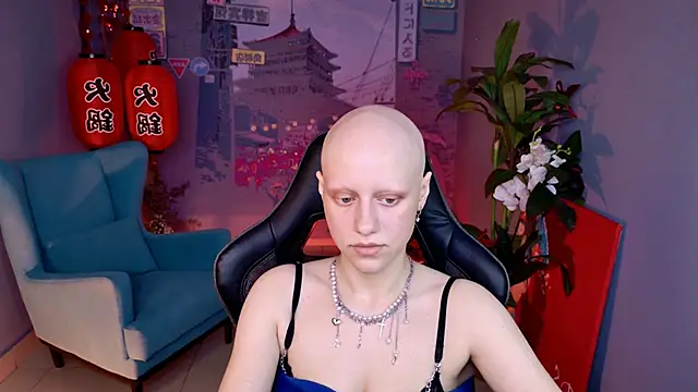 LidaDarknet webcam