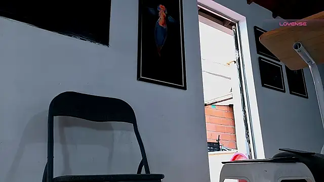 SilvaBranko webcam