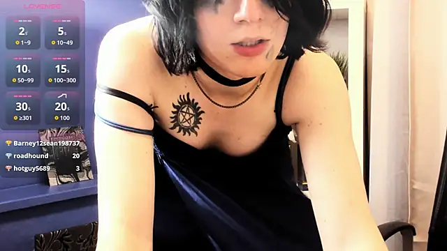 Micke_Dio webcam